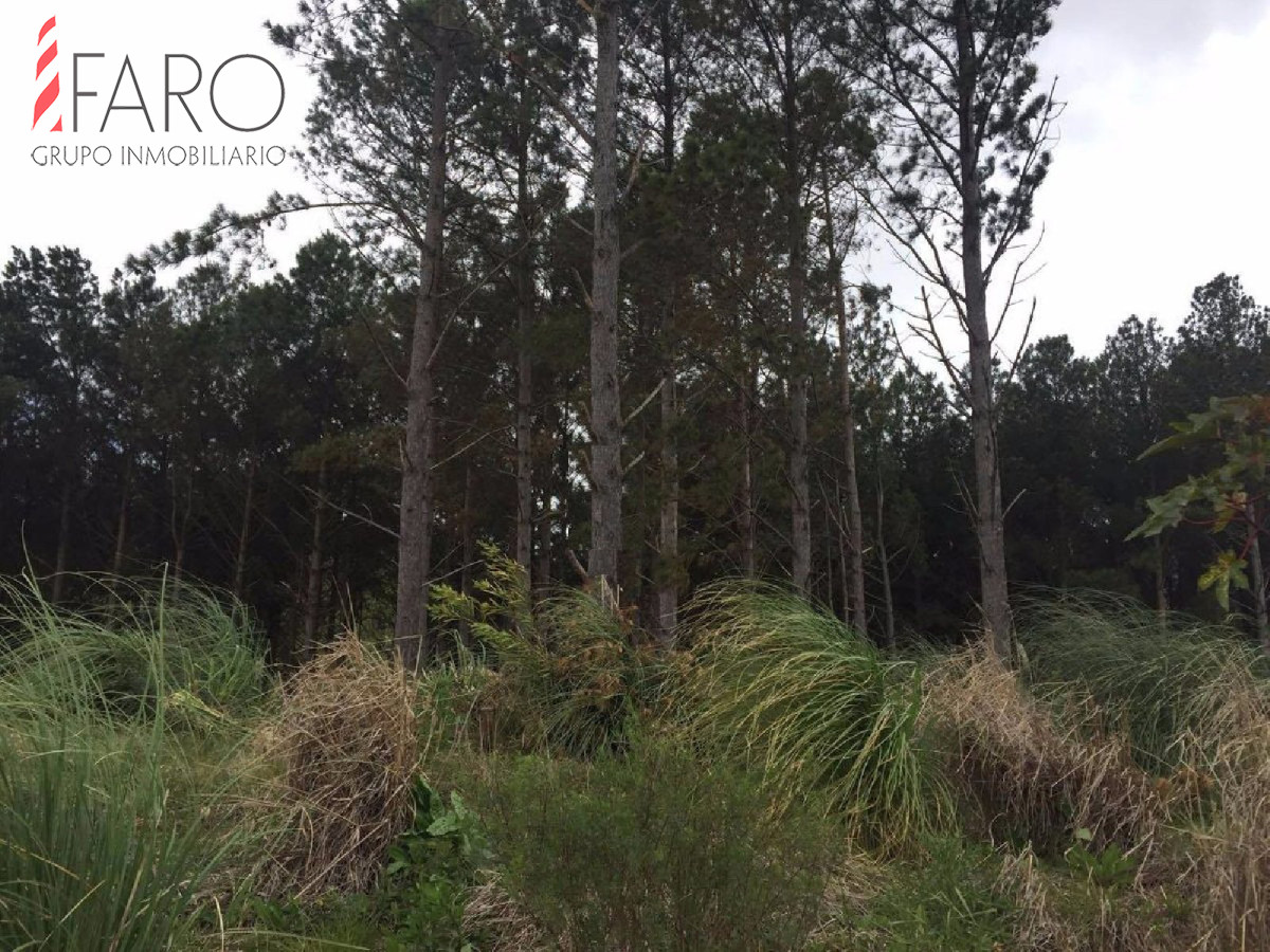 Altos de la Laguna - GoPunta - Portal Inmobiliario de Punta del Este - Maldonado