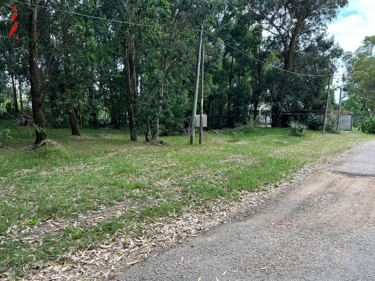 Terreno en Venta en Punta Ballena. - FAR42088T