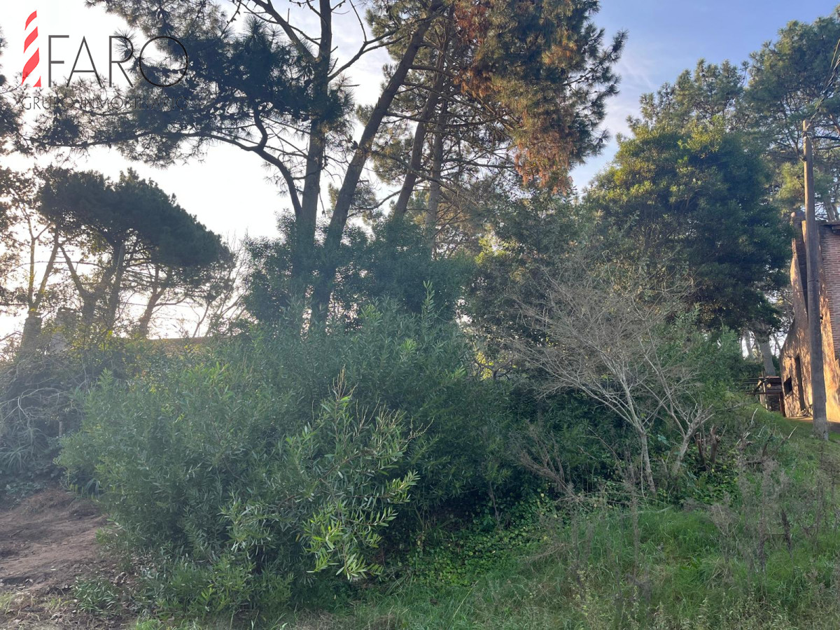 Pinares - GoPunta - Portal Inmobiliario de Punta del Este - Maldonado