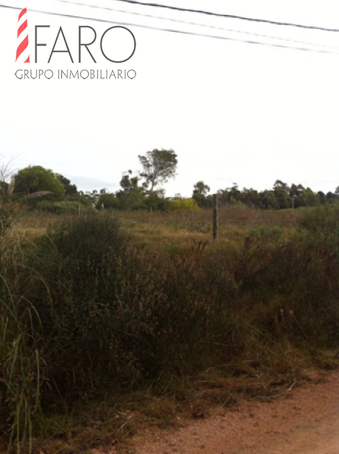 Balneario Buenos Aires - GoPunta - Portal Inmobiliario de Punta del Este - Maldonado