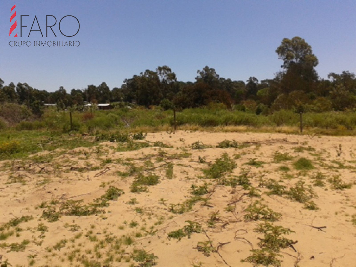 Balneario Buenos Aires - GoPunta - Portal Inmobiliario de Punta del Este - Maldonado