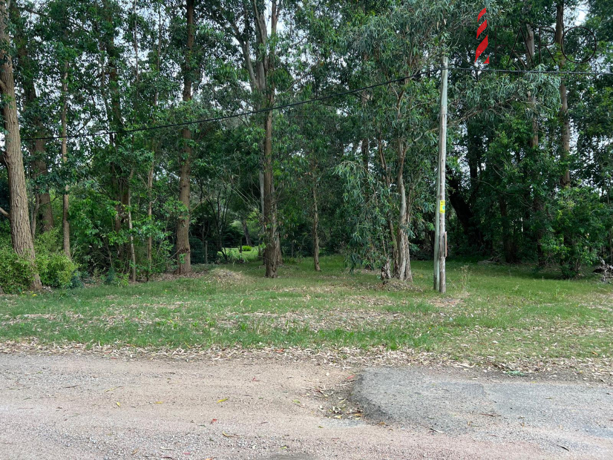 Punta Ballena - GoPunta - Portal Inmobiliario de Punta del Este - Maldonado