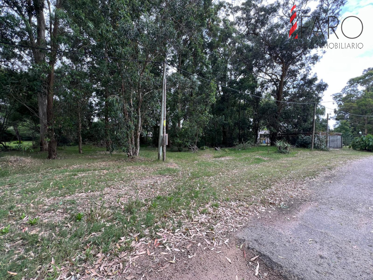 Punta Ballena - GoPunta - Portal Inmobiliario de Punta del Este - Maldonado