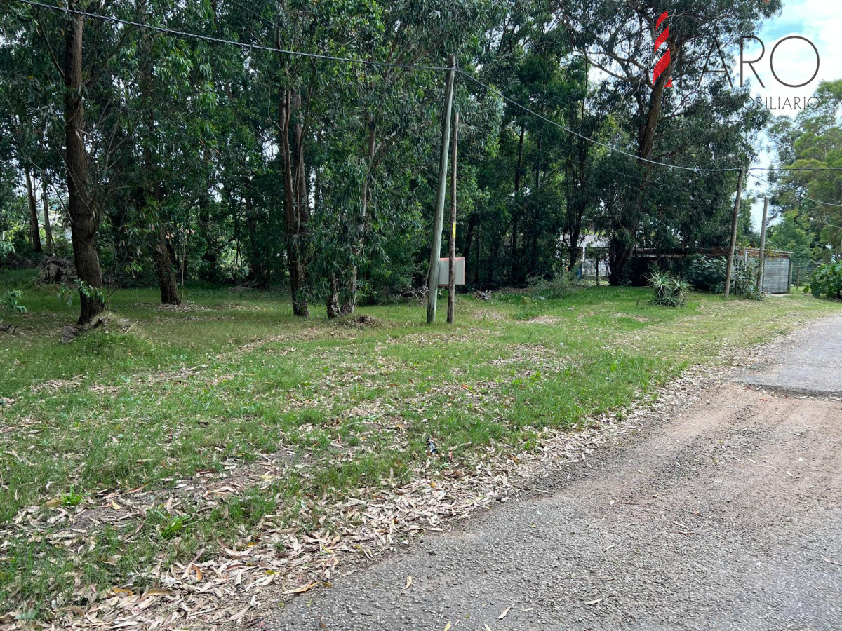 Punta Ballena - GoPunta - Portal Inmobiliario de Punta del Este - Maldonado