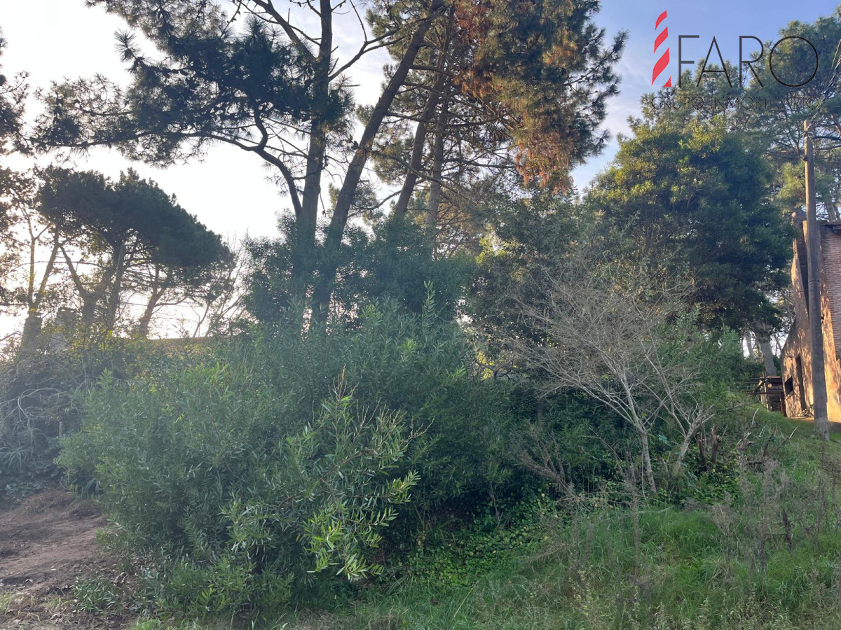 Pinares - GoPunta - Portal Inmobiliario de Punta del Este - Maldonado