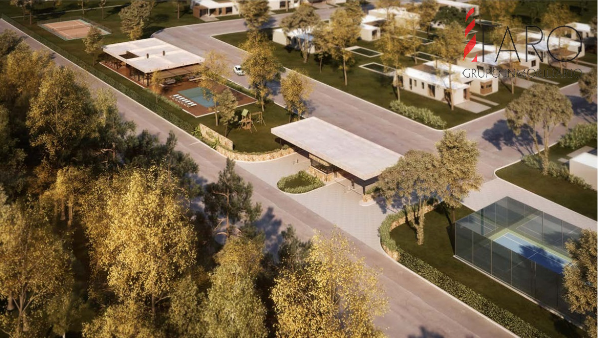 Punta Ballena - GoPunta - Portal Inmobiliario de Punta del Este - Maldonado