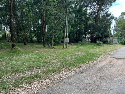 Terreno en Venta en Punta Ballena.