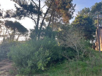 Lindo lote en venta en Pinares.
