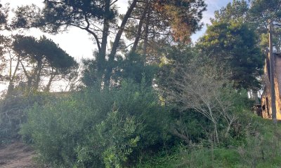 Lindo lote en venta en Pinares.