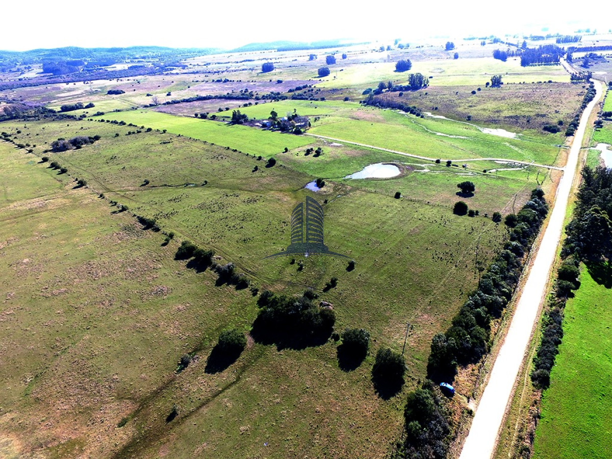 Campo 22has proximo a San Carlos y Punta del Este - GoPunta - Portal Inmobiliario de Punta del Este - Maldonado