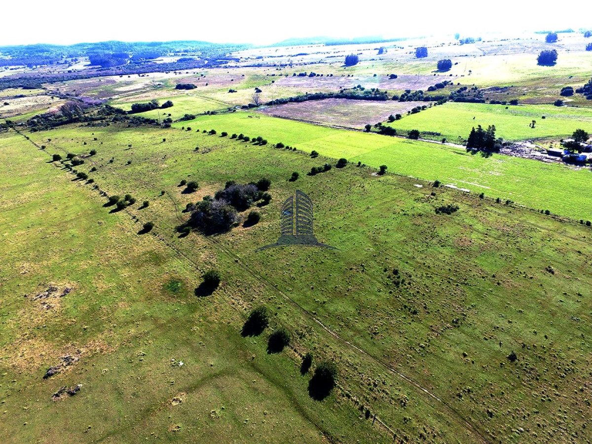 Campo 22has proximo a San Carlos y Punta del Este - GoPunta - Portal Inmobiliario de Punta del Este - Maldonado
