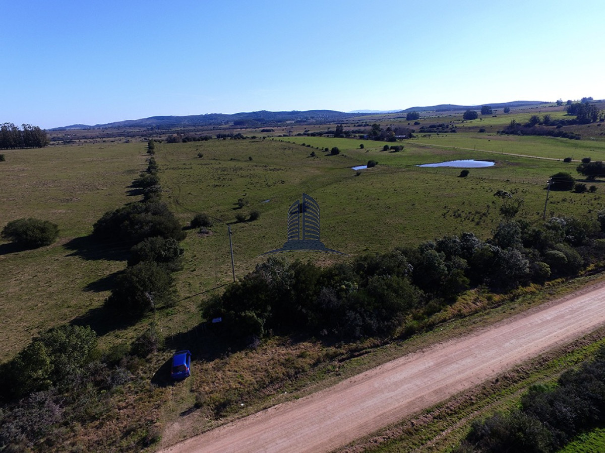 Campo 22has proximo a San Carlos y Punta del Este - GoPunta - Portal Inmobiliario de Punta del Este - Maldonado