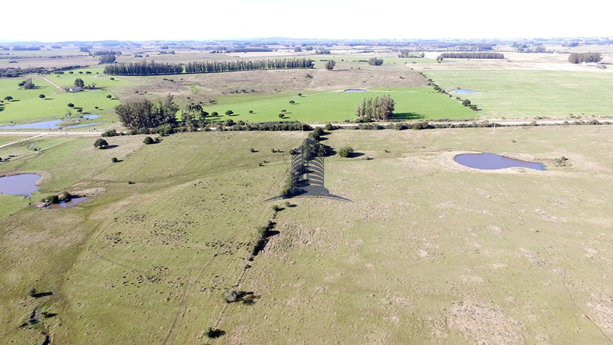 Campo 22has proximo a San Carlos y Punta del Este - GoPunta - Portal Inmobiliario de Punta del Este - Maldonado