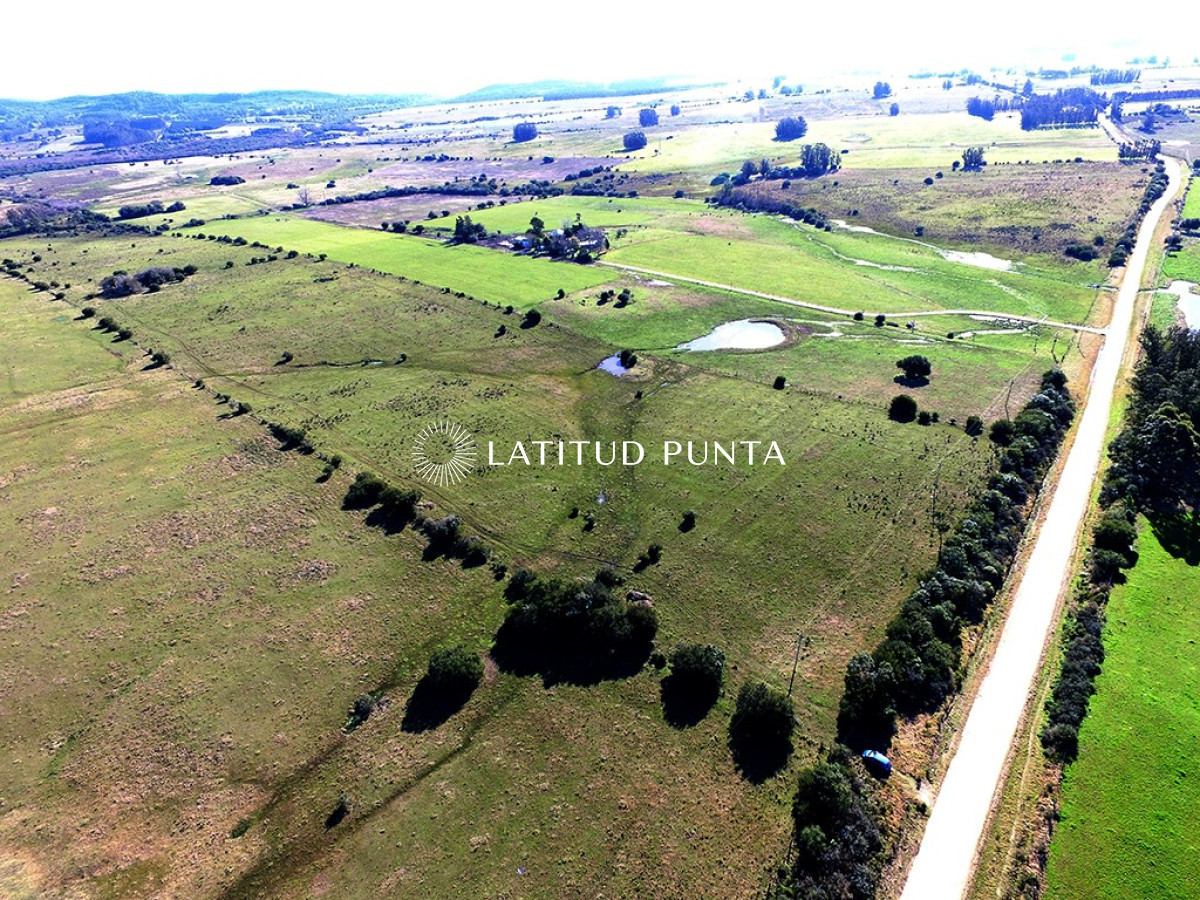 Campo de 22 has próximo a San Carlos y Punta del Este - GoPunta - Portal Inmobiliario de Punta del Este - Maldonado