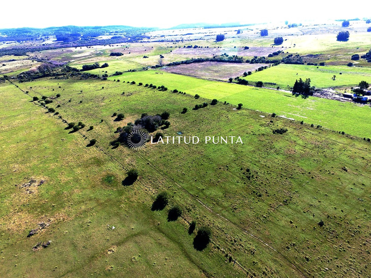 Campo de 22 has próximo a San Carlos y Punta del Este - GoPunta - Portal Inmobiliario de Punta del Este - Maldonado