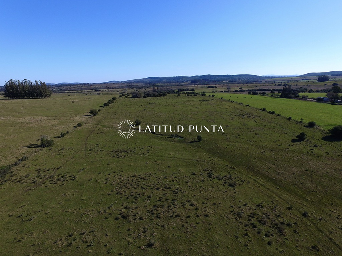 Campo de 22 has próximo a San Carlos y Punta del Este - GoPunta - Portal Inmobiliario de Punta del Este - Maldonado