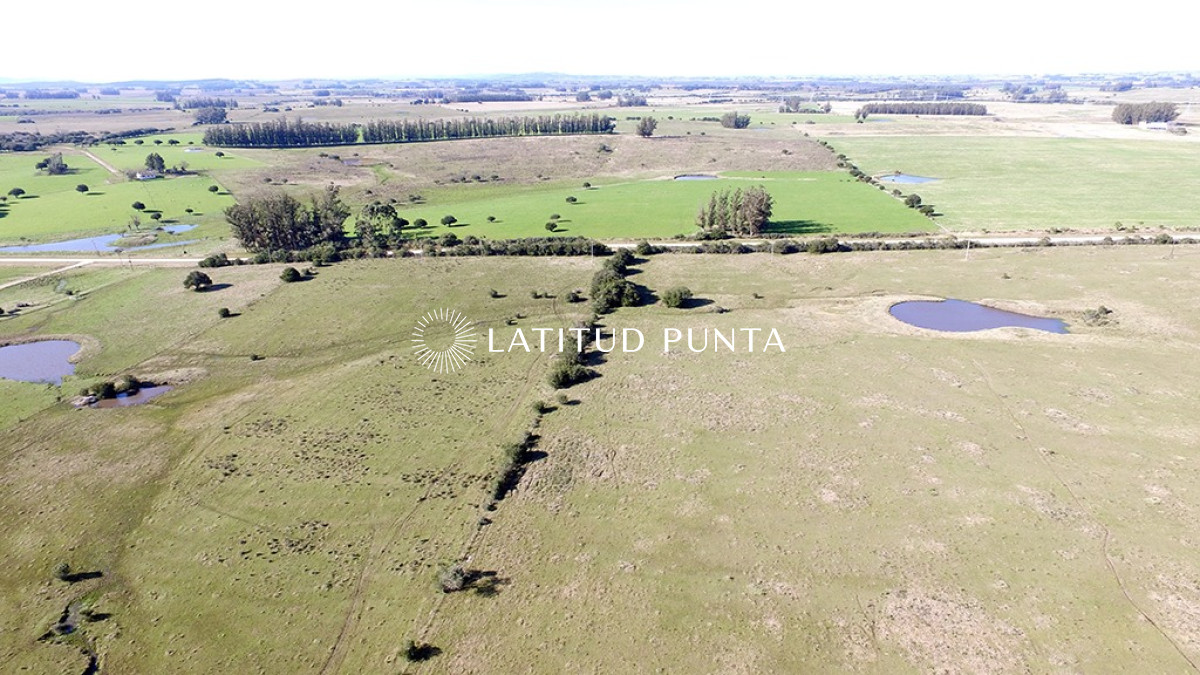 Campo de 22 has próximo a San Carlos y Punta del Este - GoPunta - Portal Inmobiliario de Punta del Este - Maldonado