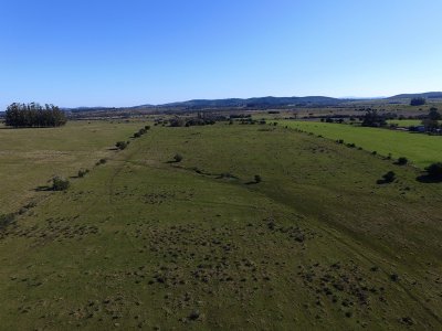 Campo de 22 has próximo a San Carlos y Punta del Este