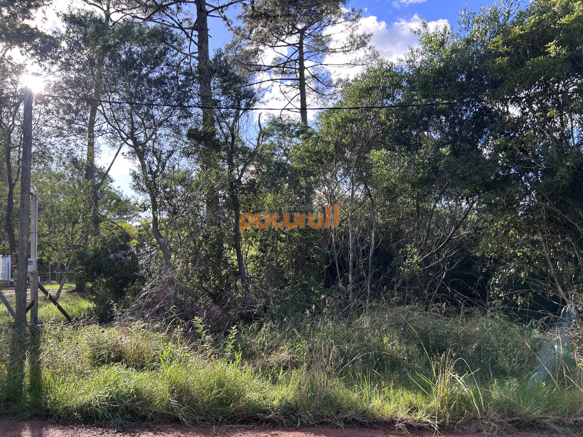 Ocean Park - GoPunta - Portal Inmobiliario de Punta del Este - Maldonado