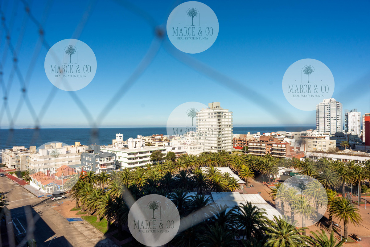 Apartamento ID.2209 - Peninsula 1 dormitorio y medio