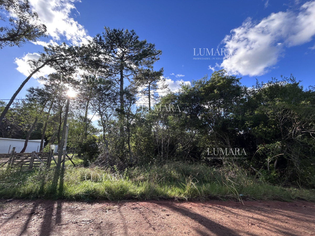 Terreno ID.2981 - Venta terreno en Ocean Park 