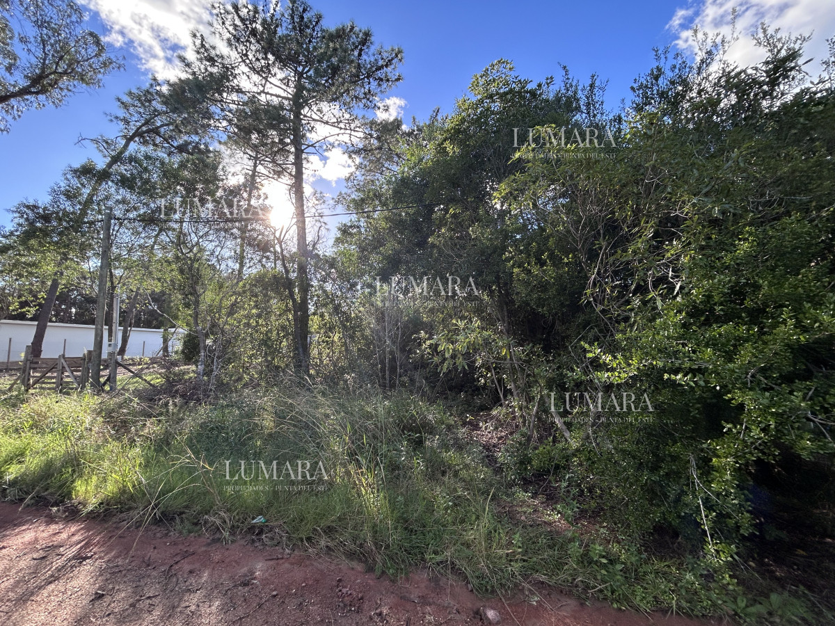 Terreno ID.2981 - Venta terreno en Ocean Park 