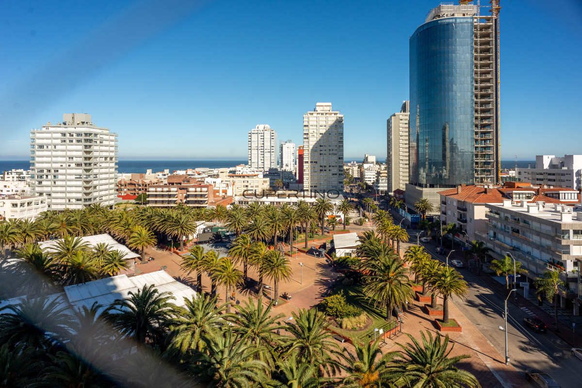 Apartamento ID.2318 - Peninsula 1 dormitorio y medio