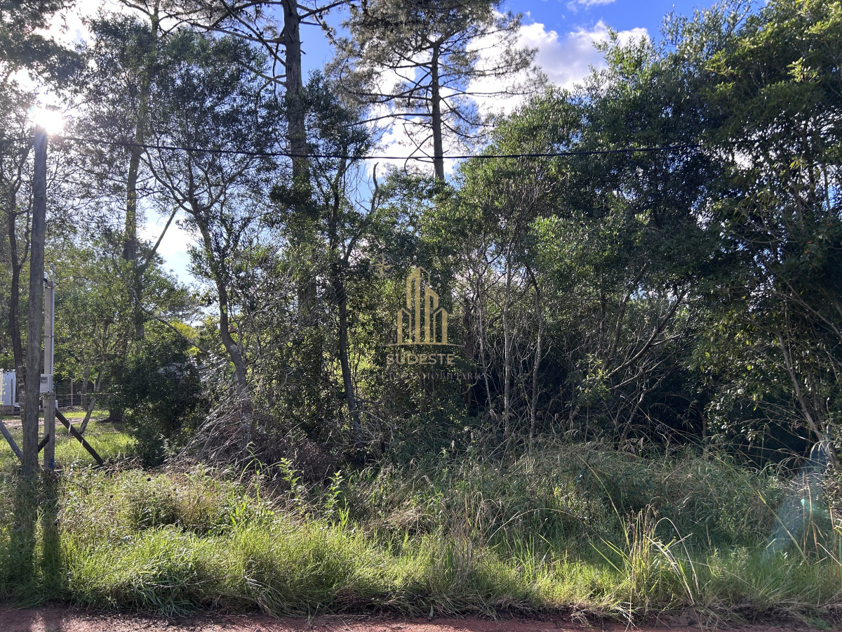 Apartamento ID.81 - Venta terreno en Ocean Park 