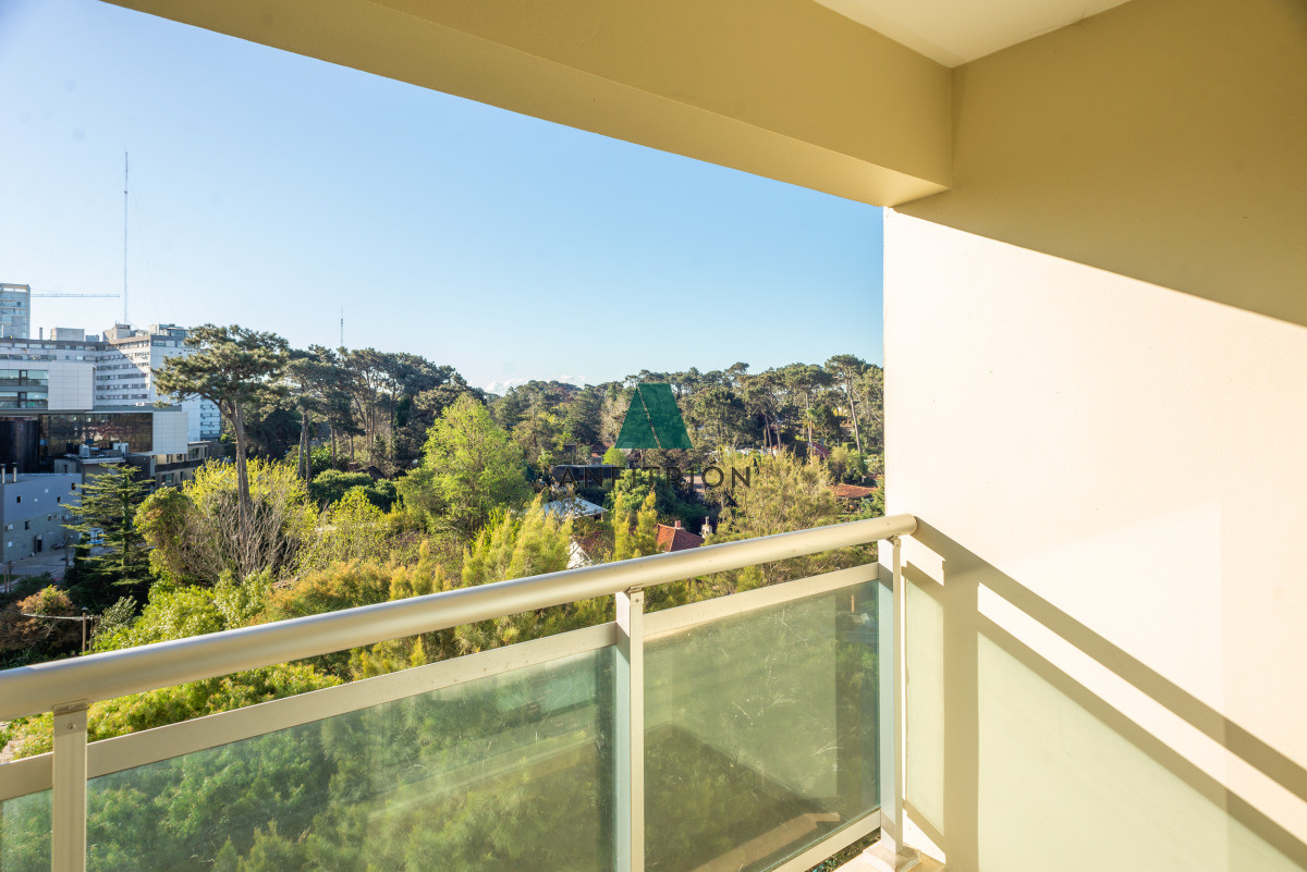 Apartamento ID.267 - 2 dormitorios 2 baños 2 terrazas Roosevelt