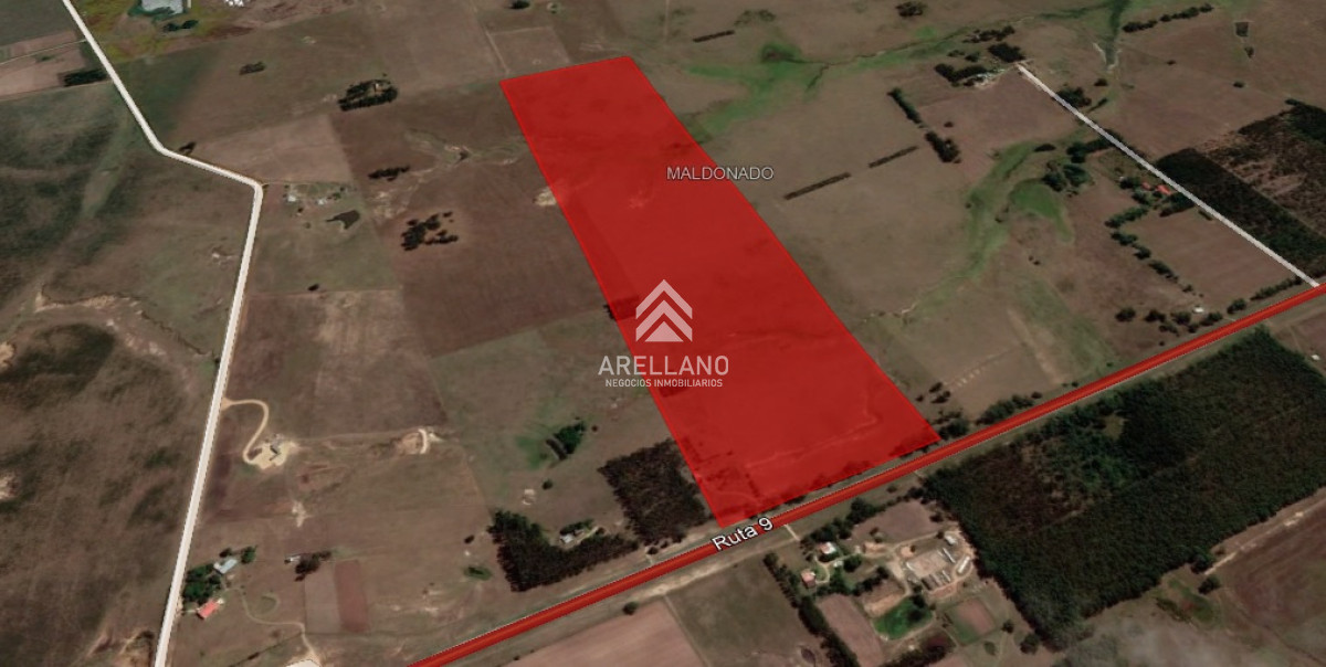 Chacra ID.354 - VENTA CHACRA 22HAS SOBRE RUTA 9