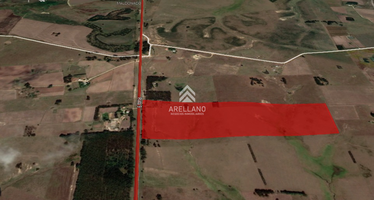 Chacra ID.354 - VENTA CHACRA 22HAS SOBRE RUTA 9