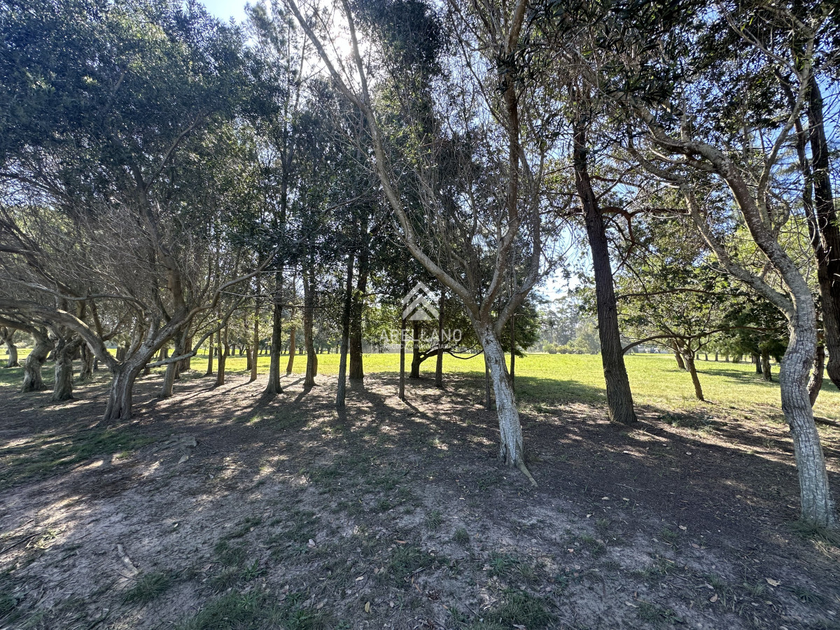Terreno ID.4138 - Venta terreno en el quijote 6499m2 , lote en el quijote, Punta del Este