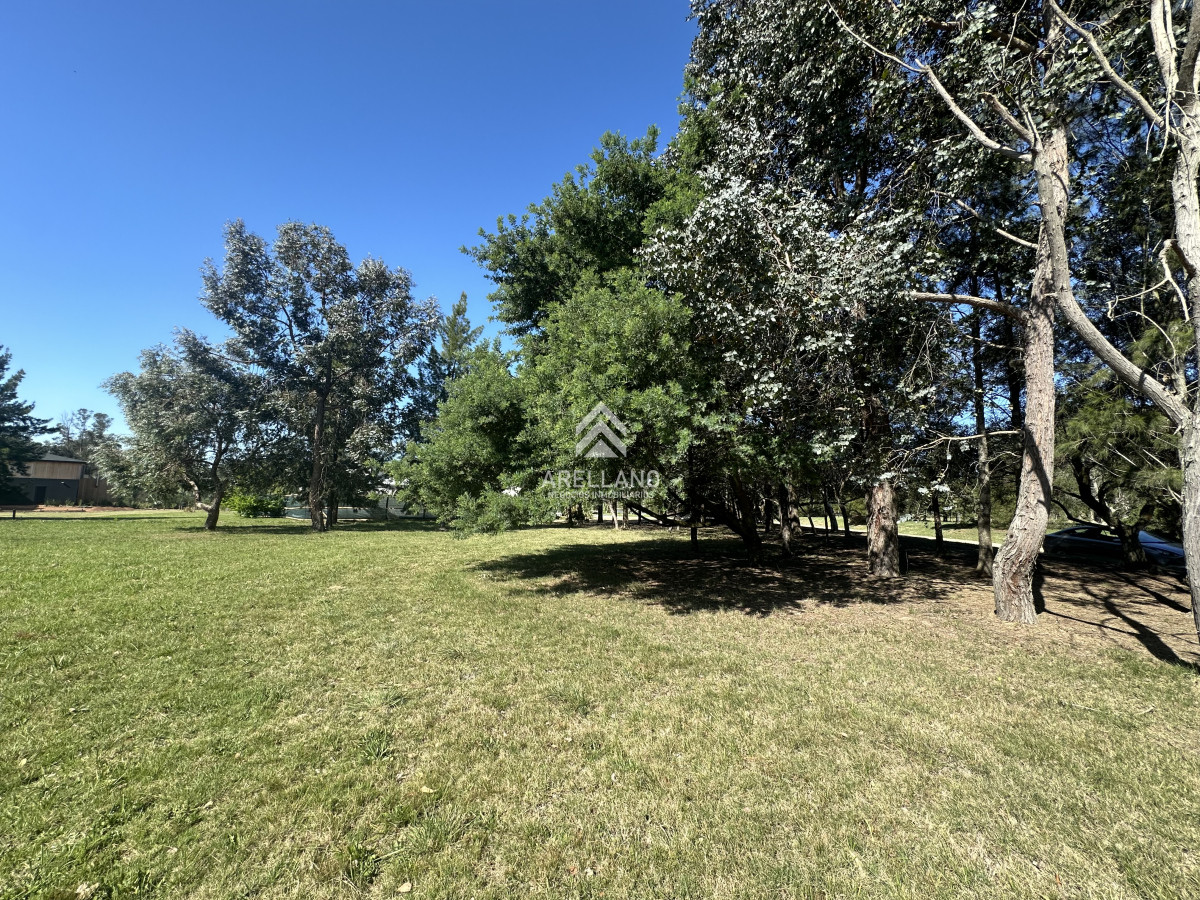 Terreno ID.4138 - Venta terreno en el quijote 6499m2 , lote en el quijote, Punta del Este