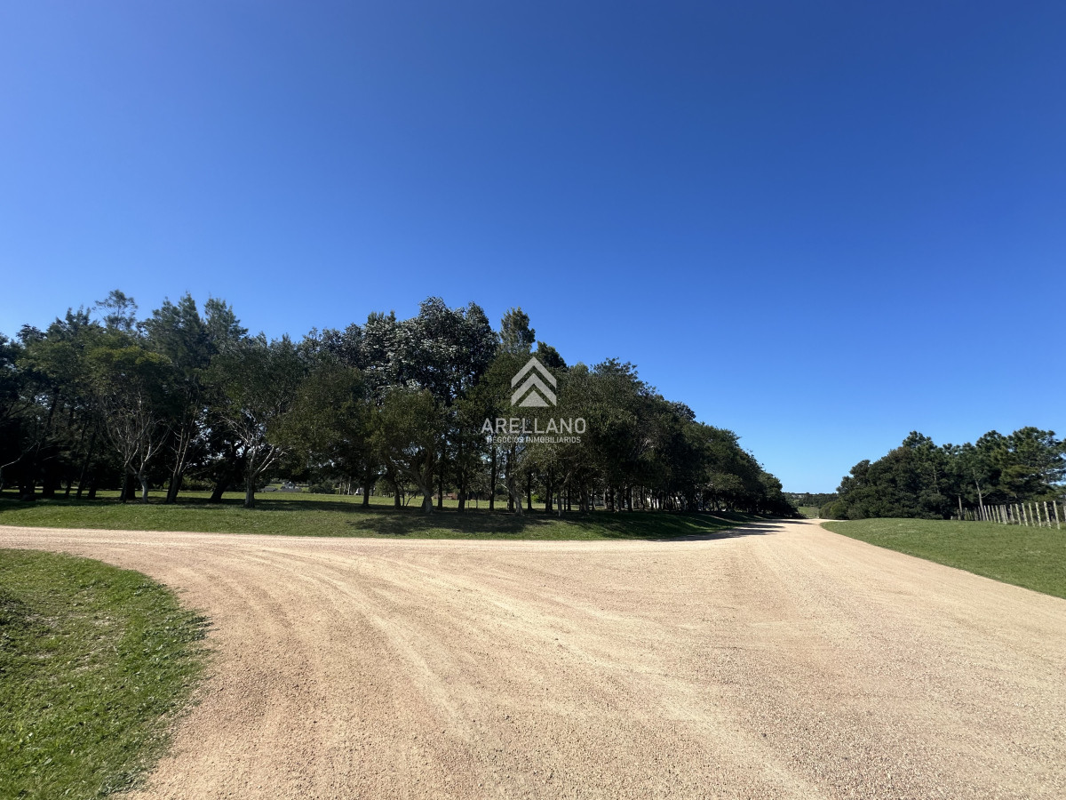 Terreno ID.4138 - Venta terreno en el quijote 6499m2 , lote en el quijote, Punta del Este