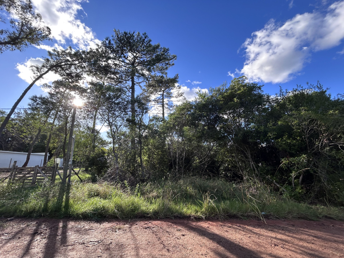 Venta terreno en Ocean Park 