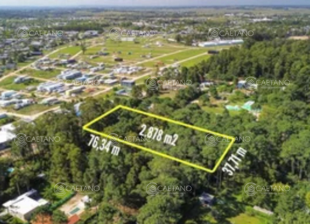 Venta terreno Burnet, Punta del Este. - GoPunta - Portal Inmobiliario de Punta del Este - Maldonado
