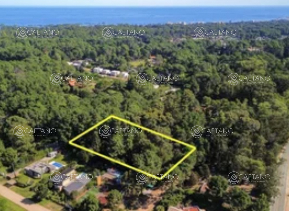 Venta terreno Burnet, Punta del Este. - GoPunta - Portal Inmobiliario de Punta del Este - Maldonado