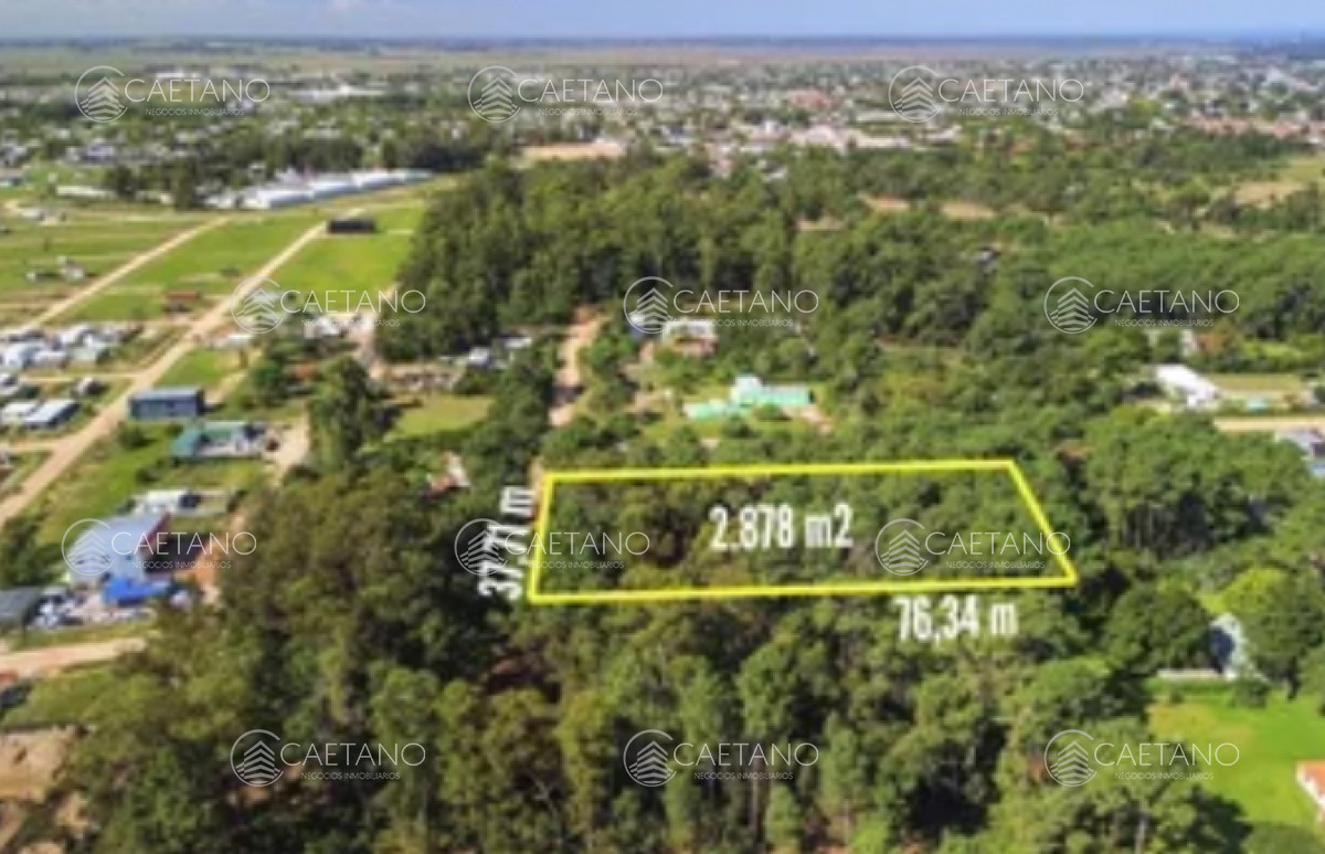Venta terreno Burnet, Punta del Este. - GoPunta - Portal Inmobiliario de Punta del Este - Maldonado