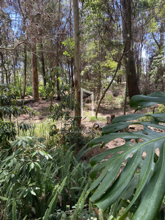 Terreno ID.2241 - ATENCION INVERSORES