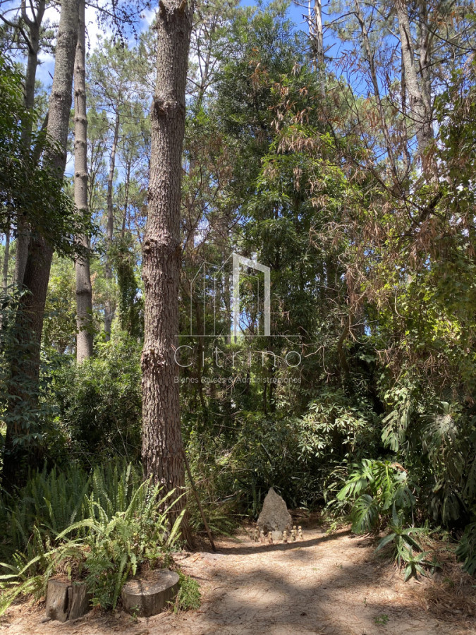 Terreno ID.2241 - ATENCION INVERSORES