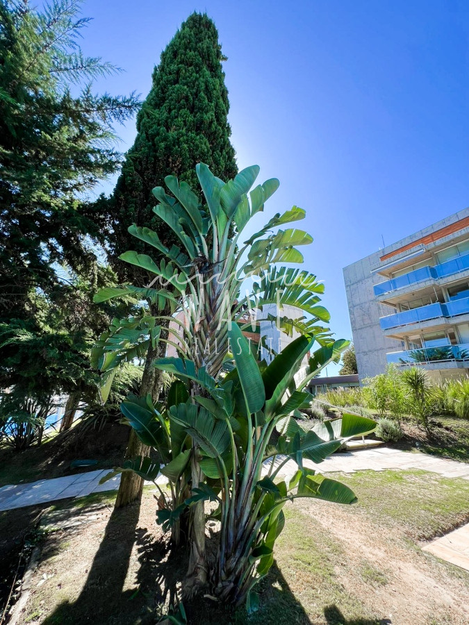 Apartamento ID.4199 - VENTA - Apartamento 1 dormitorio, terraza . Mansa , Punta del Este.
