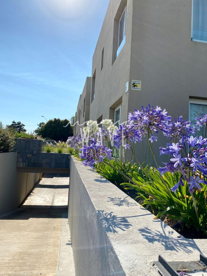 Montoya - GoPunta - Portal Inmobiliario de Punta del Este - Maldonado
