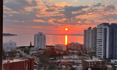 OPORTUNIDAD VENTA APTO BRAVA FRENTE AL MAR 1 dormitorio