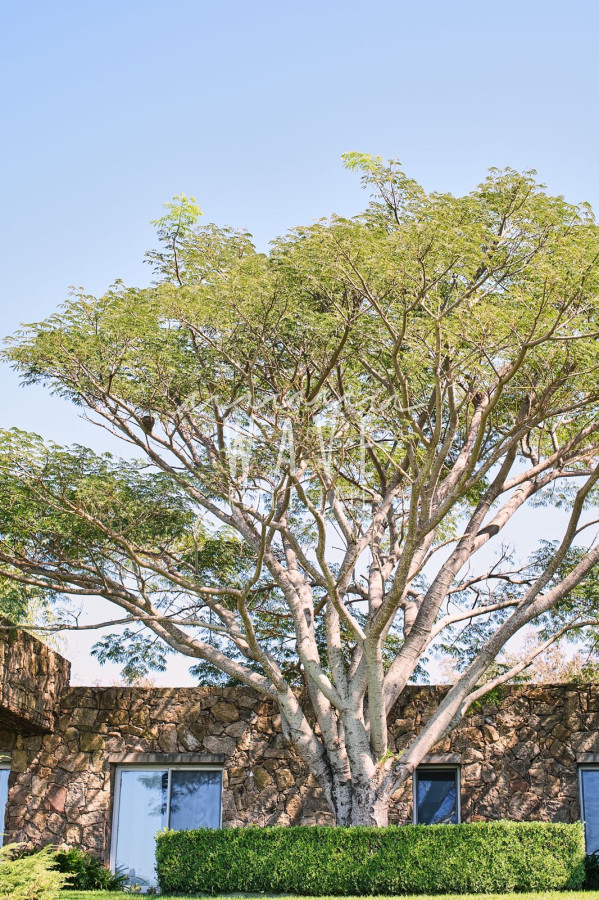 Casa ID.5132 - Alquiler de Verano, Casa de 5 dormitorios en Pueblo Mío