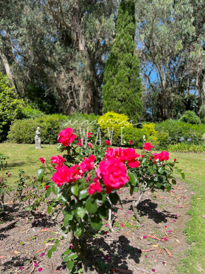 Casa ID.4689 - Alquiler de verano, Casa en Punta del Este, San Rafael 