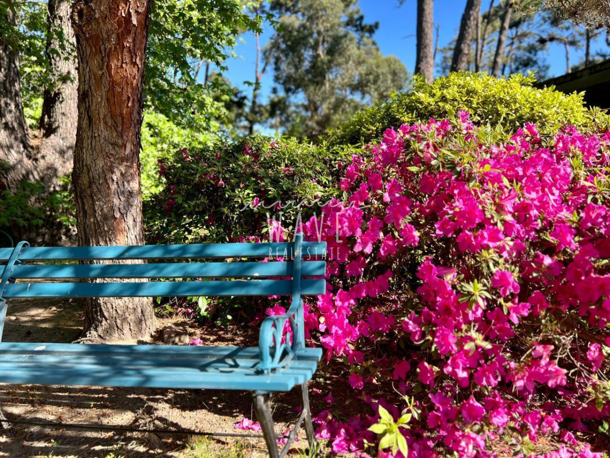 Casa ID.4689 - Alquiler de verano, Casa en Punta del Este, San Rafael 