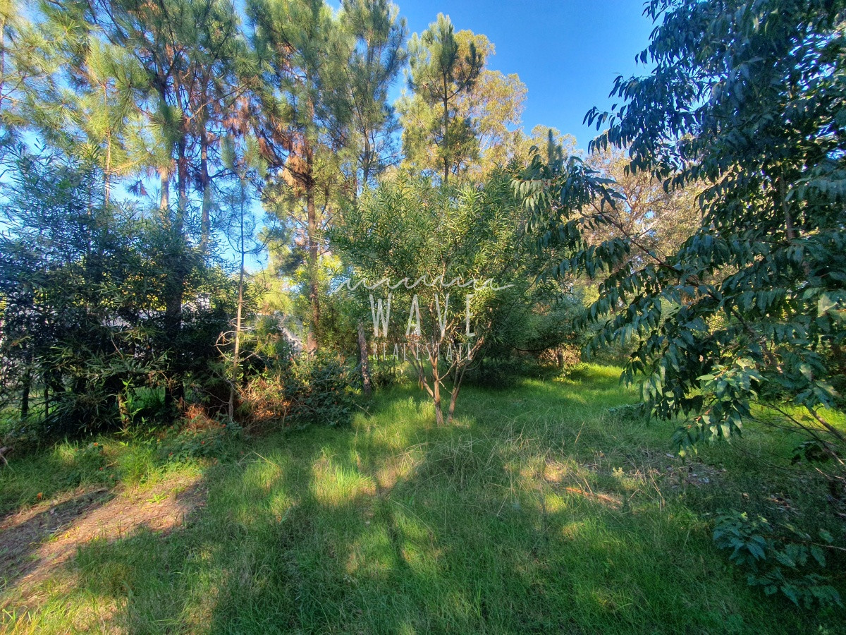 Casa ID.1691 - Venta de casa de 3 dormitorios y 2 baños en Pinares, Punta del Este.