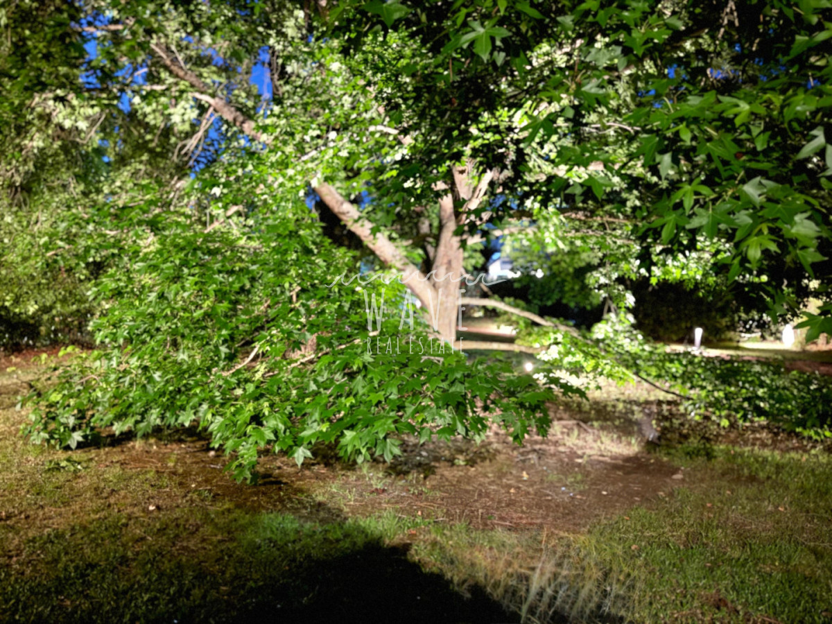Casa ID.4689 - Alquiler de verano, Casa en Punta del Este, San Rafael 