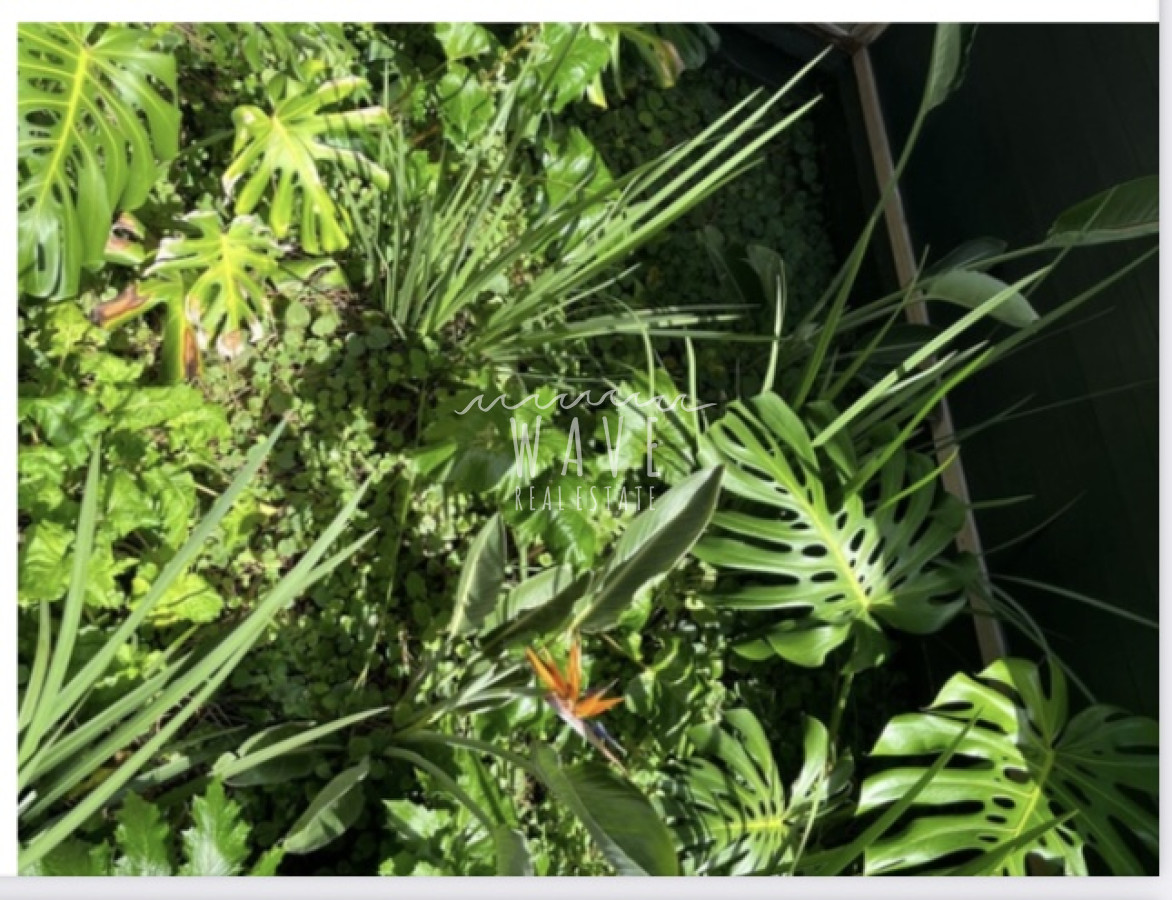 Casa ID.5091 - Casa alquiler Temprada barra verde 