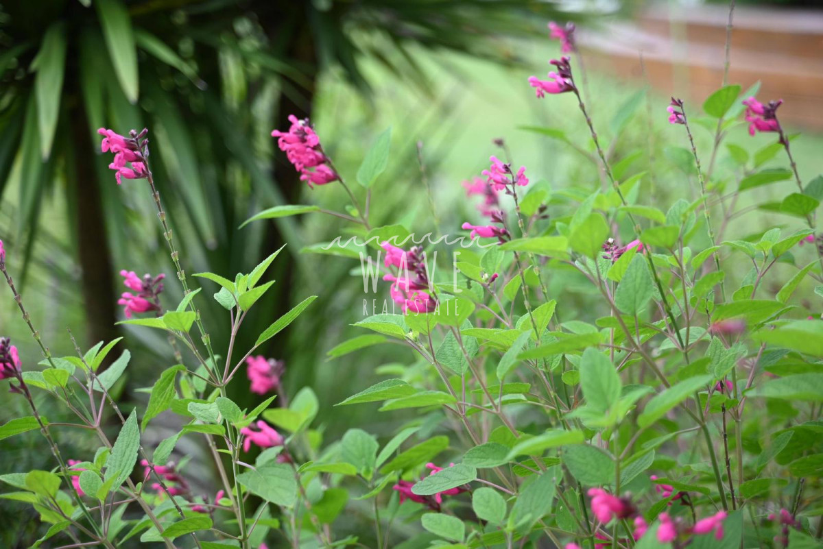 Casa ID.4664 - La Barra, a 5 minutos de todo, en entorno de chacras, 4 dormitorios, piscina, gran jardín.